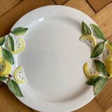 Double lemon slushie fruit bowl Italy