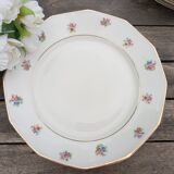 Assiettes à dessert x 7 porcelaine rétro 1920/50 à fleurs, CH-RENOU