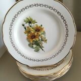 6 gien earthenware dessert plates