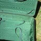 Vintage vulcanized fiber case