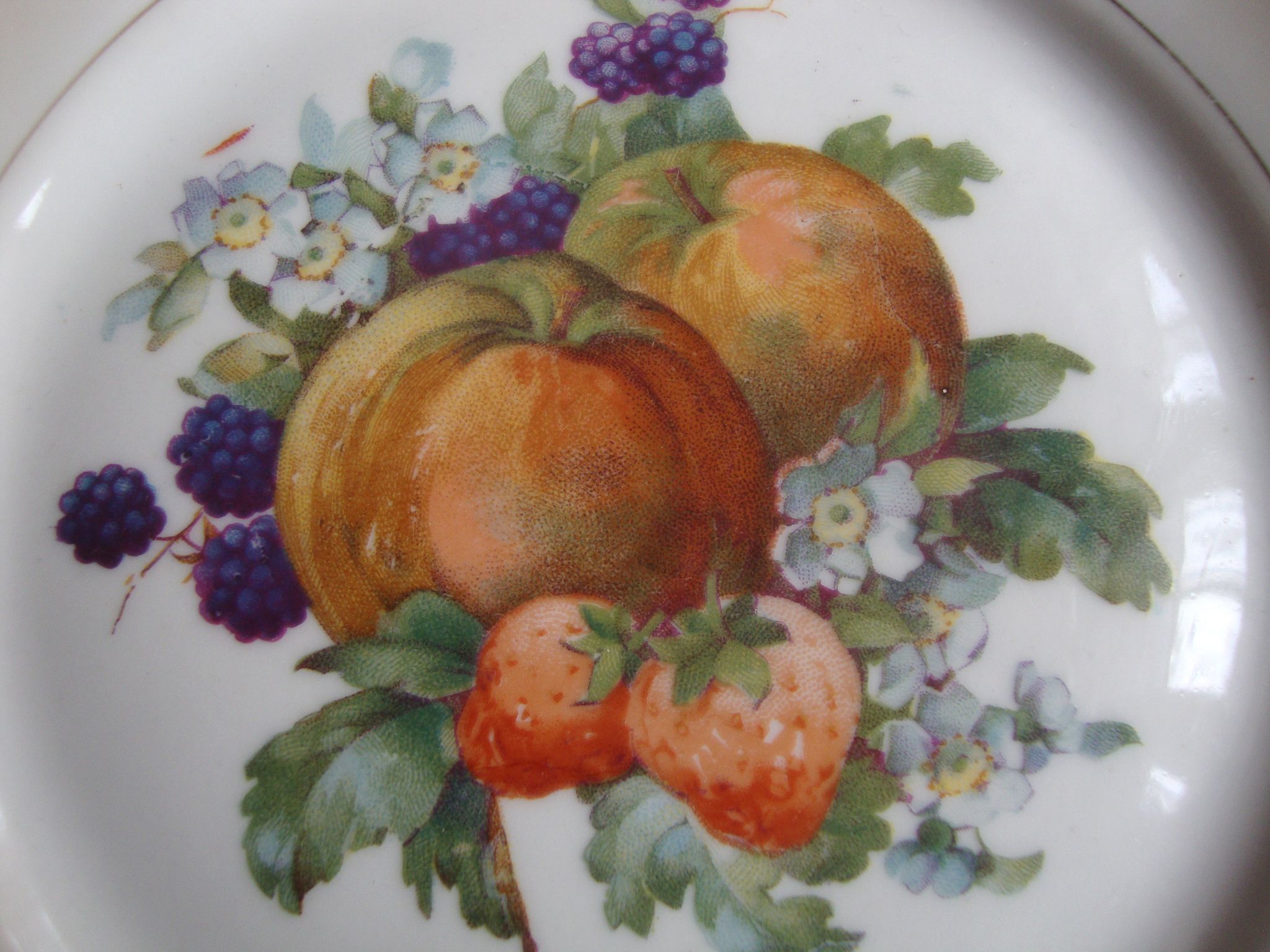Set of 5 antique Limoges porcelain plates L.J.V with fruit decoration