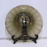 Dish