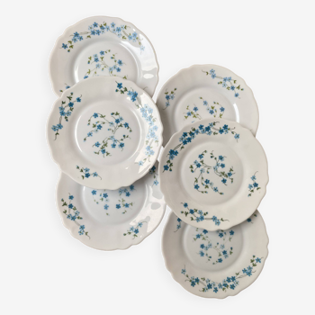 Set of 6 Arcopal Veronica dessert plates