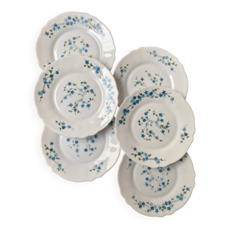 Set of 6 Arcopal Veronica dessert plates