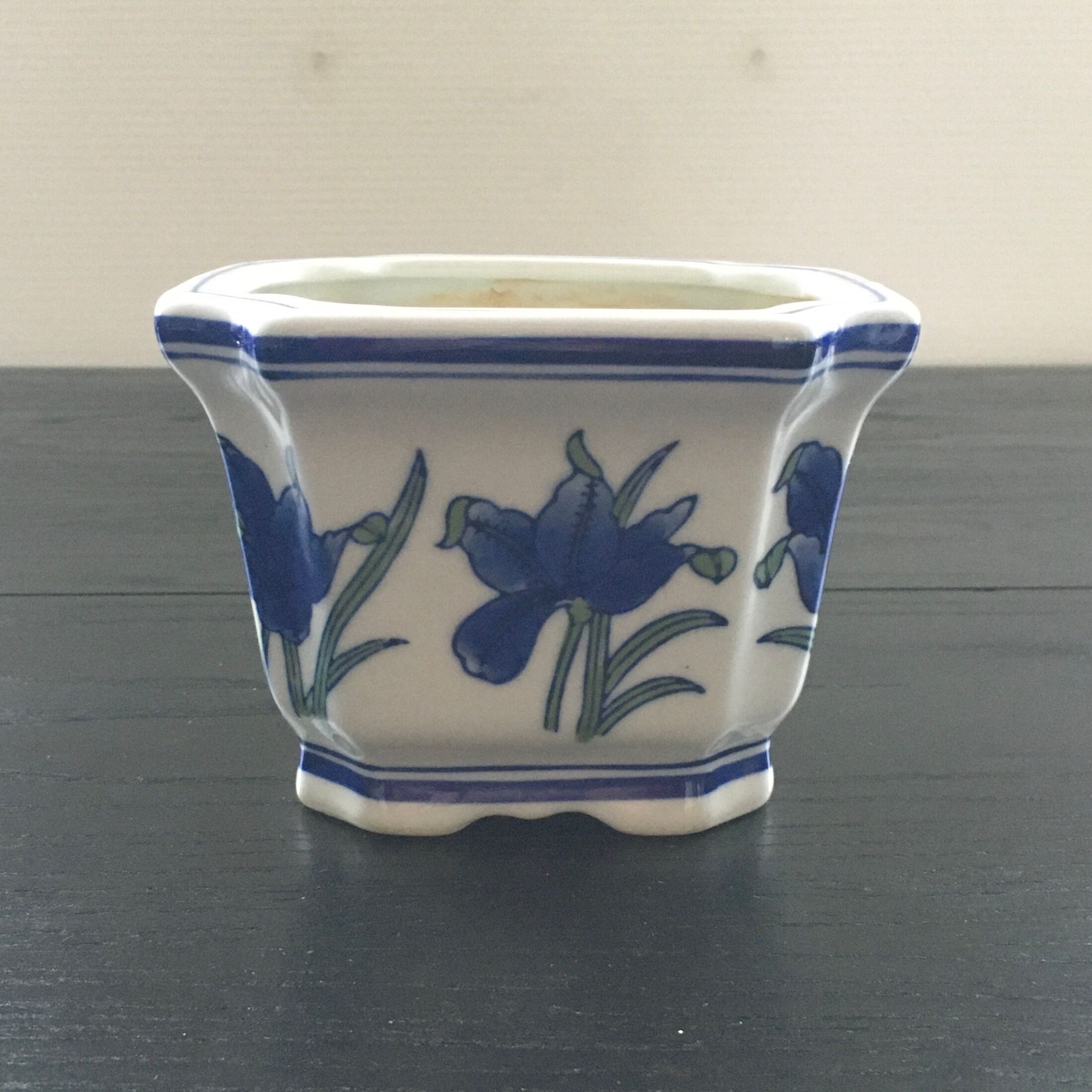 Blue iris pot cache.
