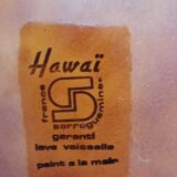 Sarreguemines flat plate, Hawaii model