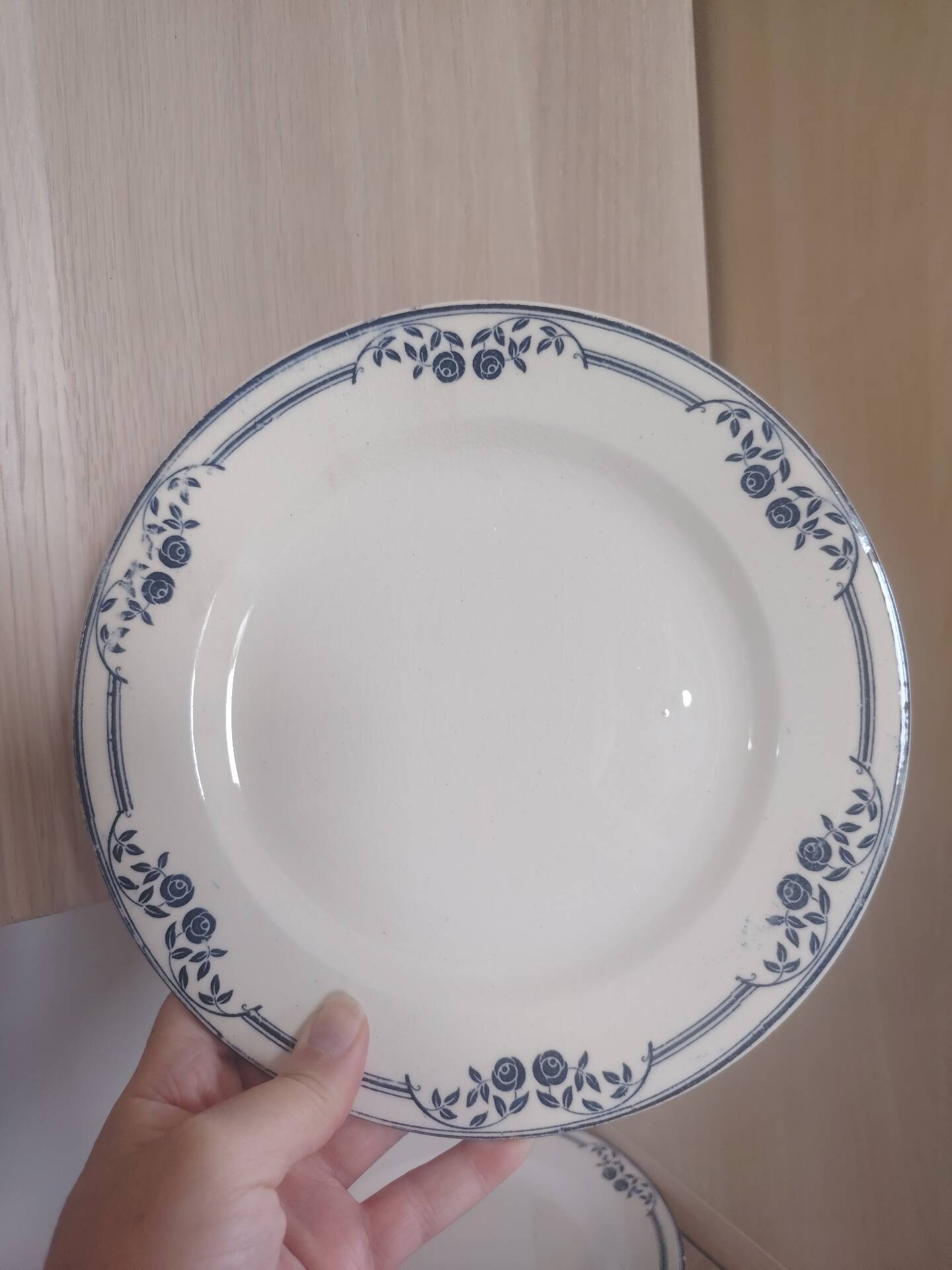 Flat plates ironstone Saussure