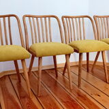 Set of chairs designed by A. Suman, Czechoslovakia, the 60s