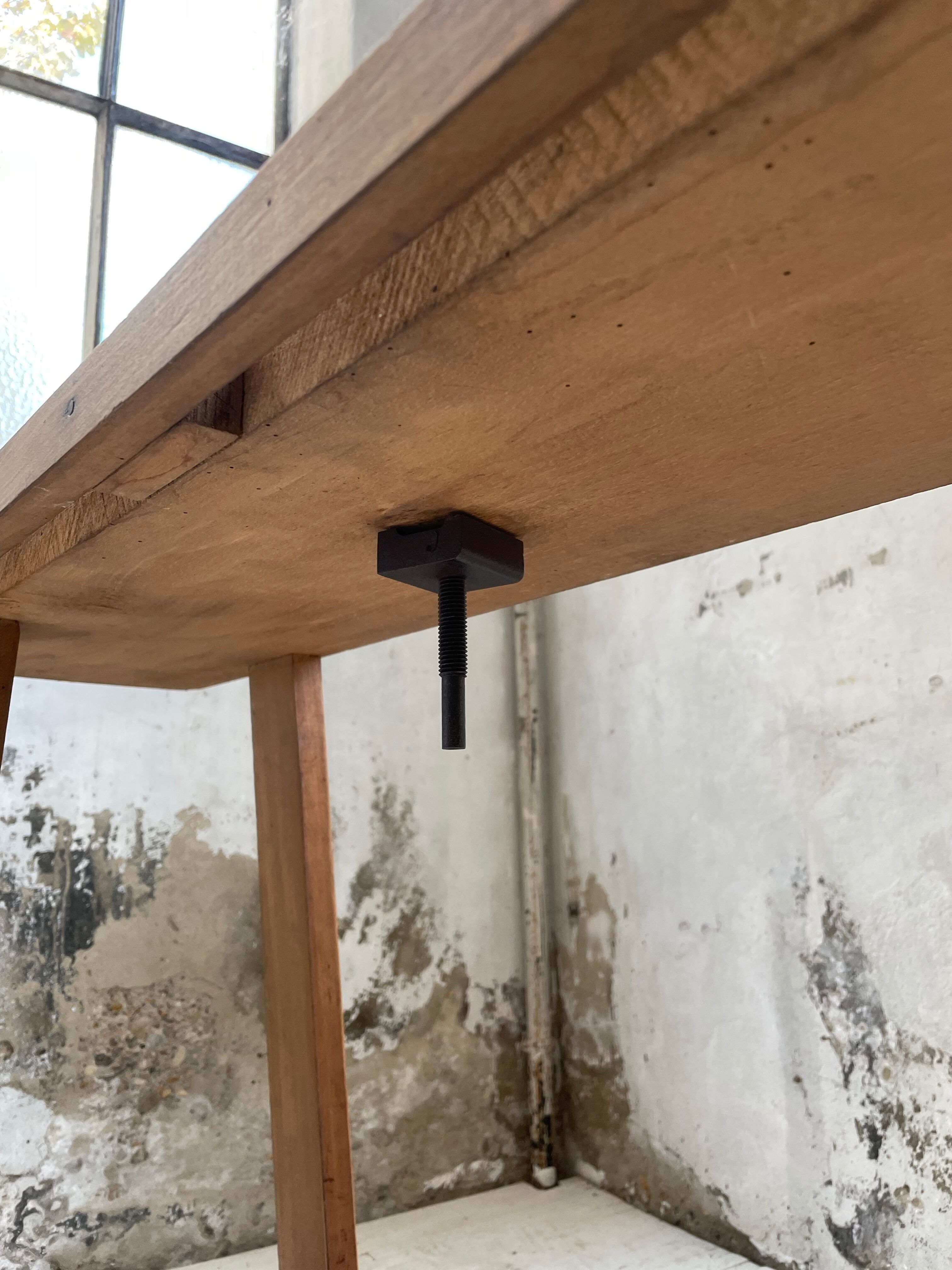 Established XS in cherry tree