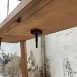 Established XS in cherry tree