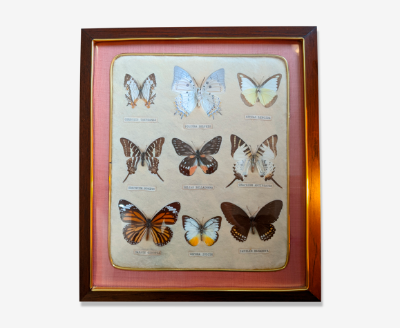 Butterfly frame