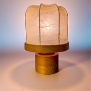 Italian "Cocoon" table lamp, resin and pine wood, 1970s