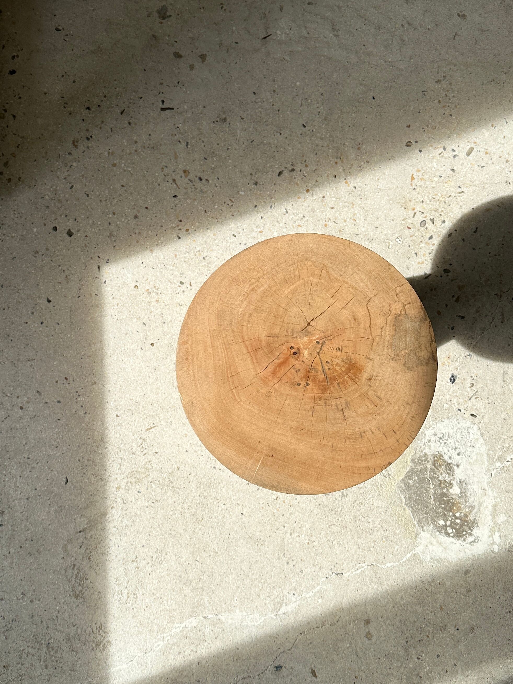 Side table, end of sofa in natural mango monoxyl conical tray H:50cm