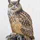 Old bird board 1960s - Eagle Owl - Natural history illustration