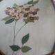 Lampe en verre bullé vintage 