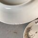 5 dessert plates porcelain gold medals exp 1867 1978 birds