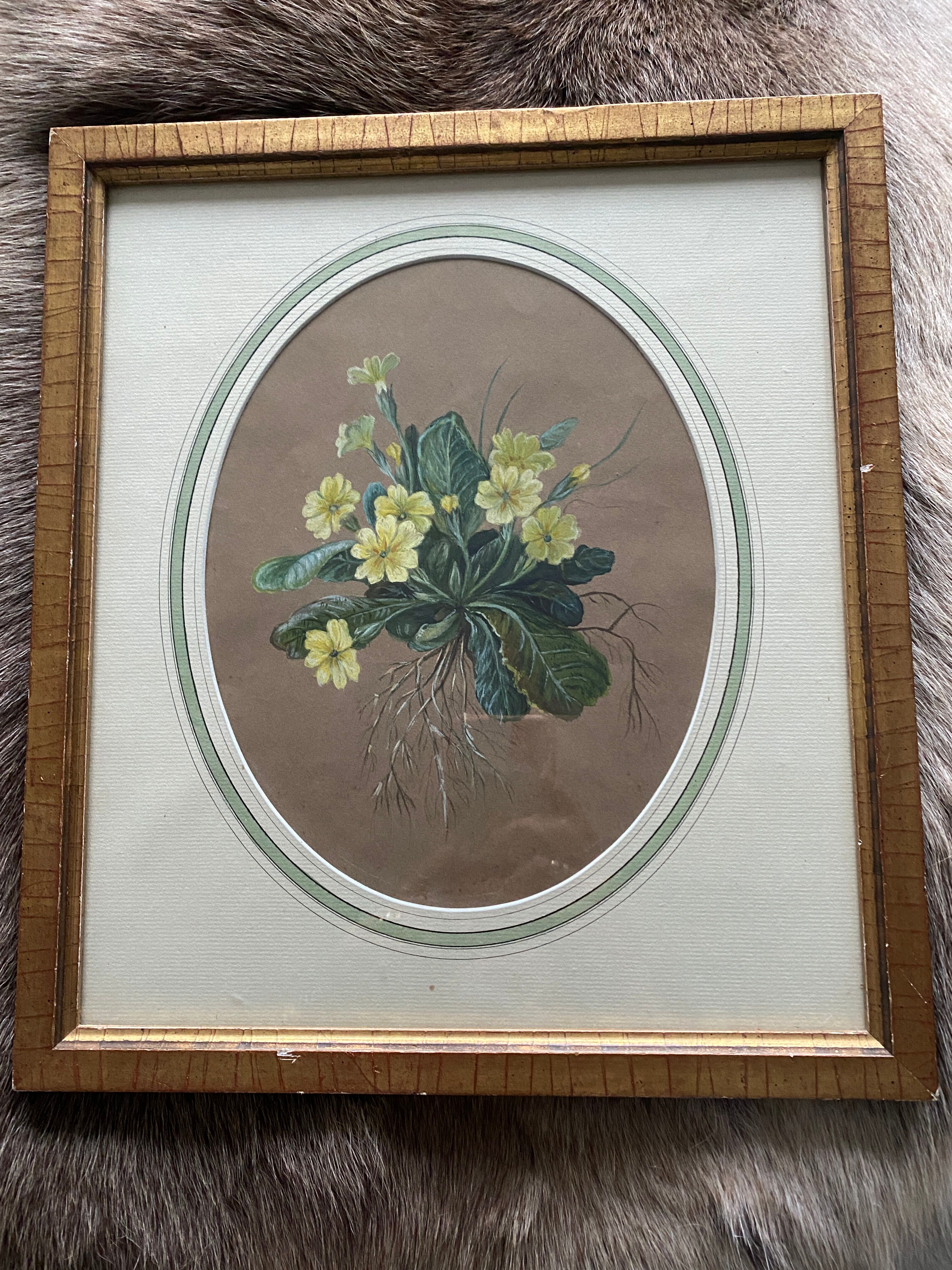 Watercolor "Primroses" XIX