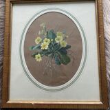 Watercolor "Primroses" XIX