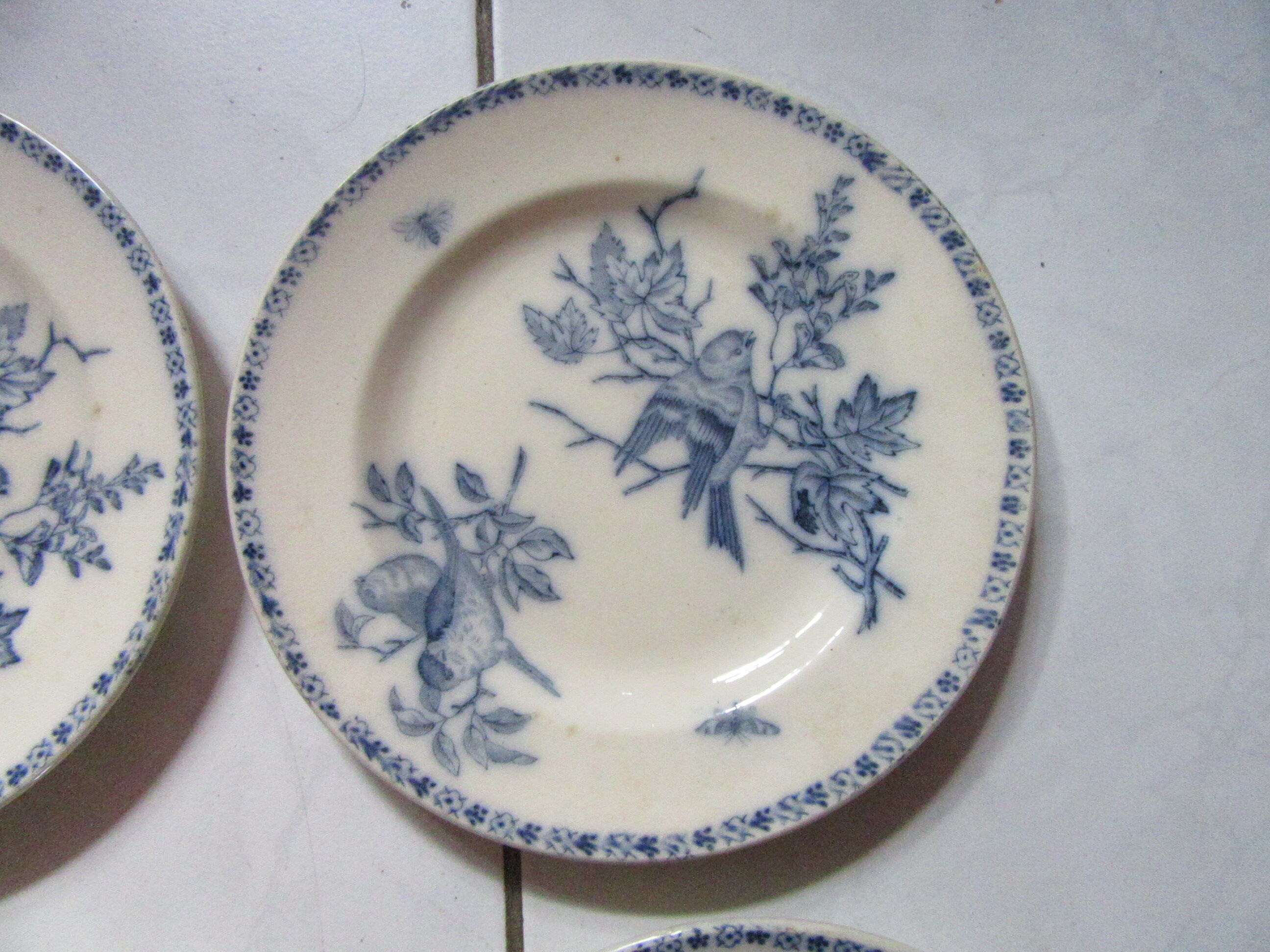Plates earth fire batch of 6 birds vintage decorations
