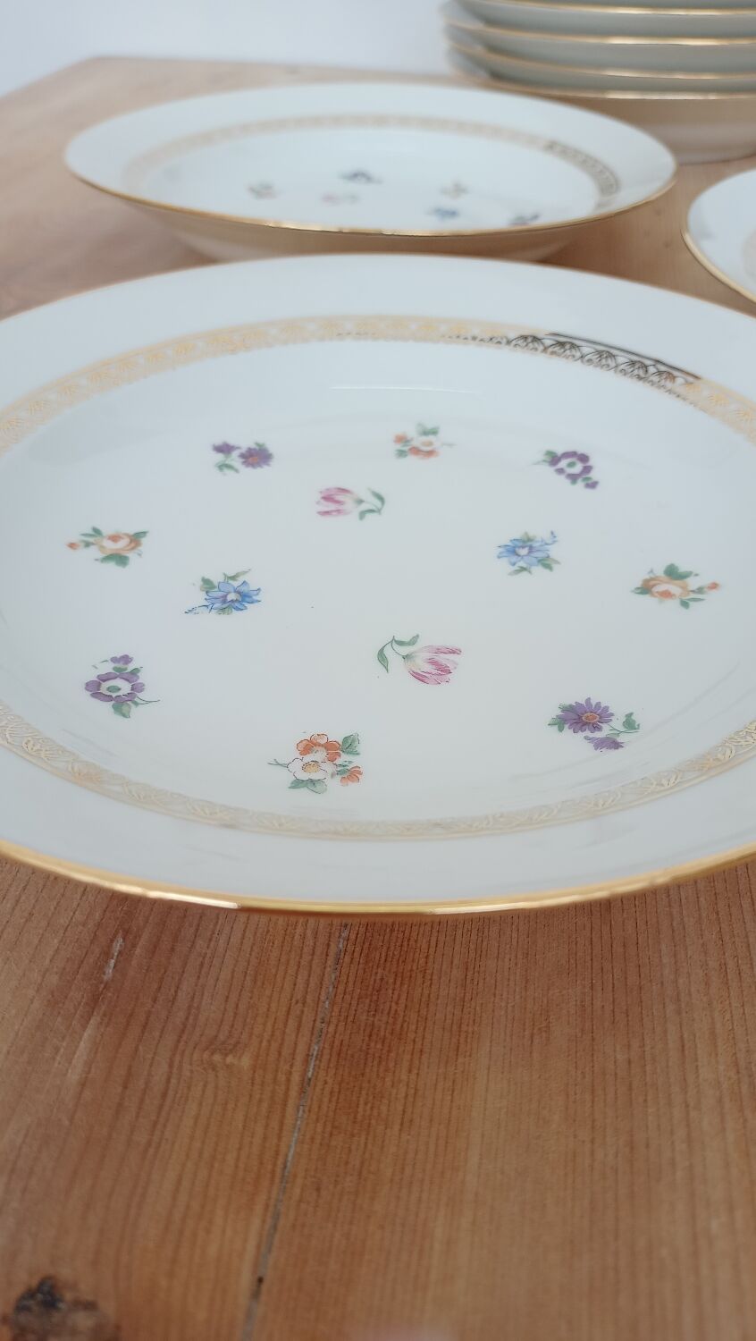 Hollow porcelain plates