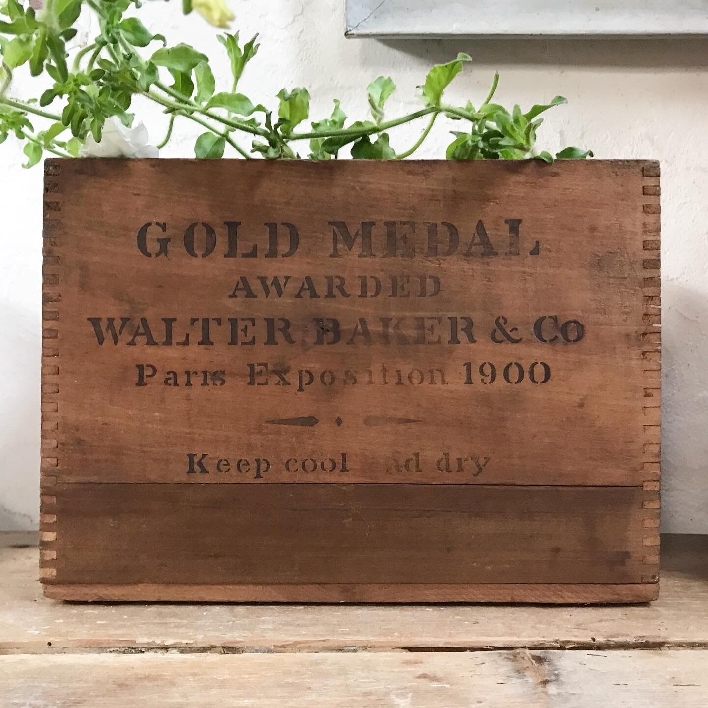 Wooden box early XXth