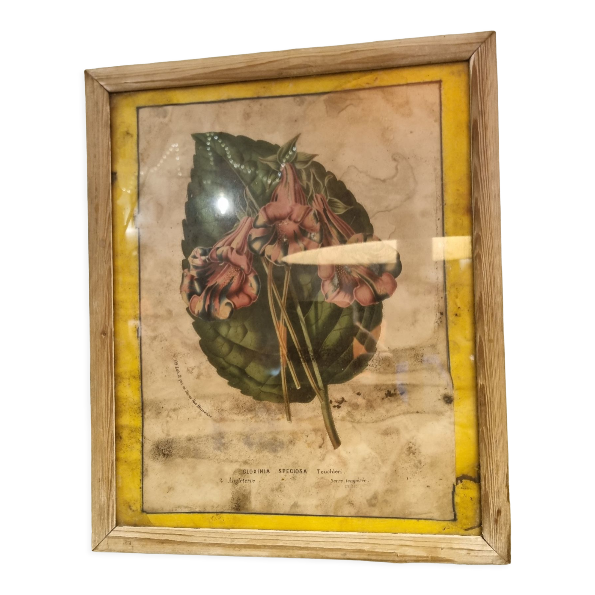 Floral engraving late 18th