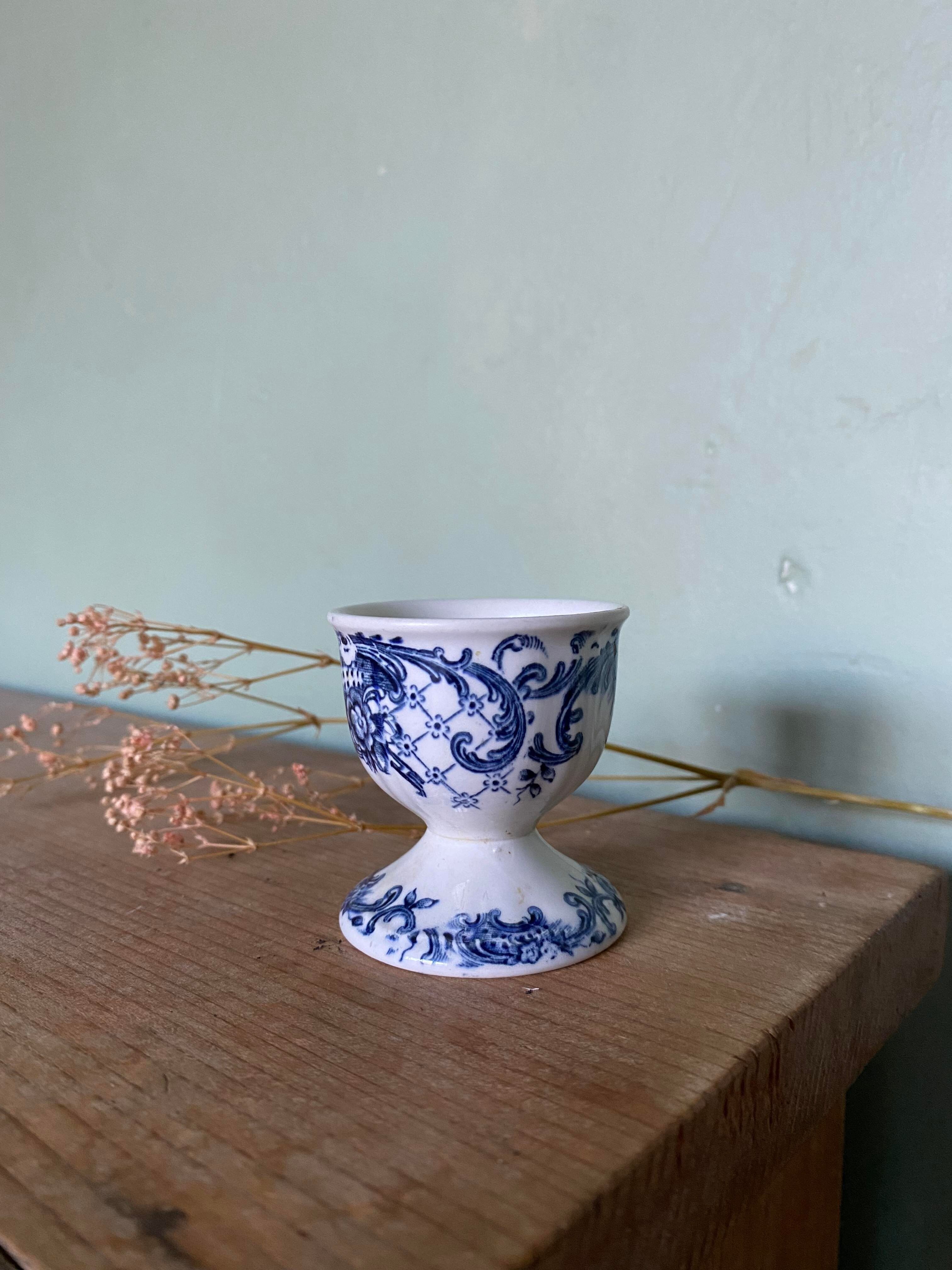 Ancient shell in Iron Land