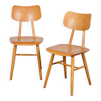 Pair of wooden chairs produced by Ton, 1960