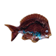 Poisson Vallauris