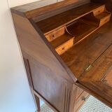 Secretary back d ANE