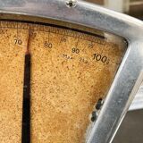 Lutrana grocer's scale