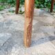 Office chair Thonet 1900