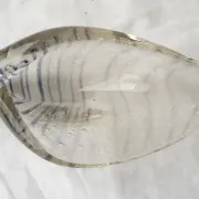 Shell-shaped glass catchall