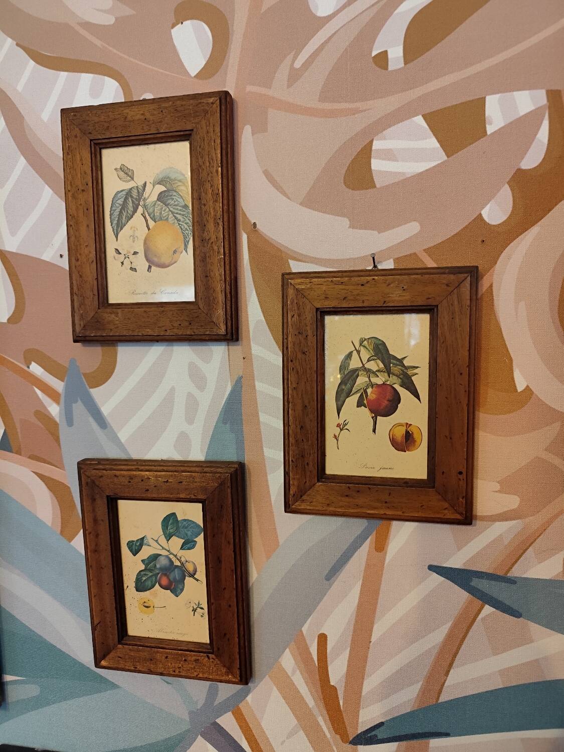 Set of three small framed fruit prints