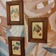 Set of three small framed fruit prints