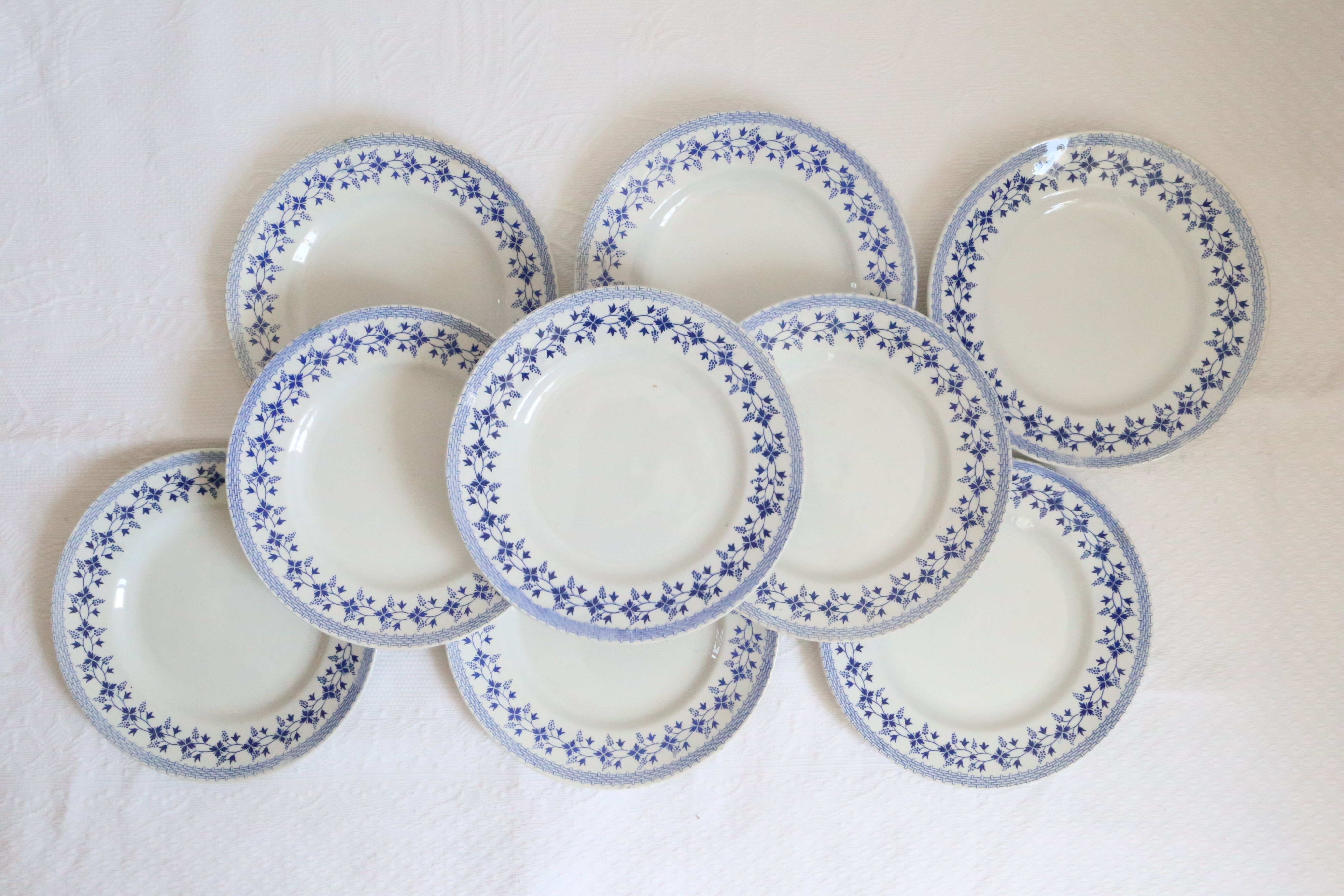 Ensemble de 9 assiettes plates, saint Amand, Bleuets, terre de fer
