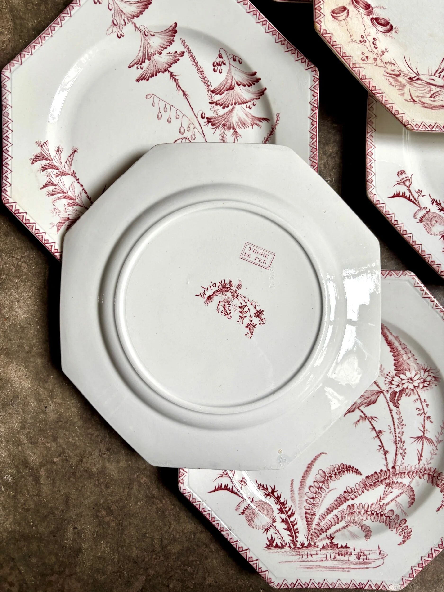 6 flat plates in ironstone Clairefontaine, "Indiana" service.