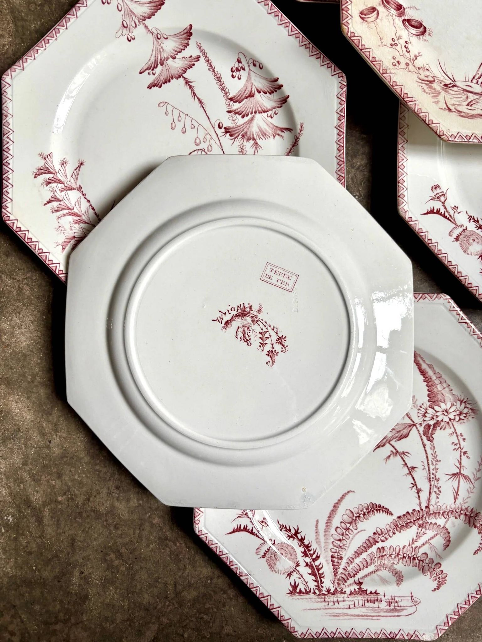 6 flat plates in ironstone Clairefontaine, "Indiana" service.