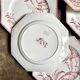 6 flat plates in ironstone Clairefontaine, "Indiana" service.