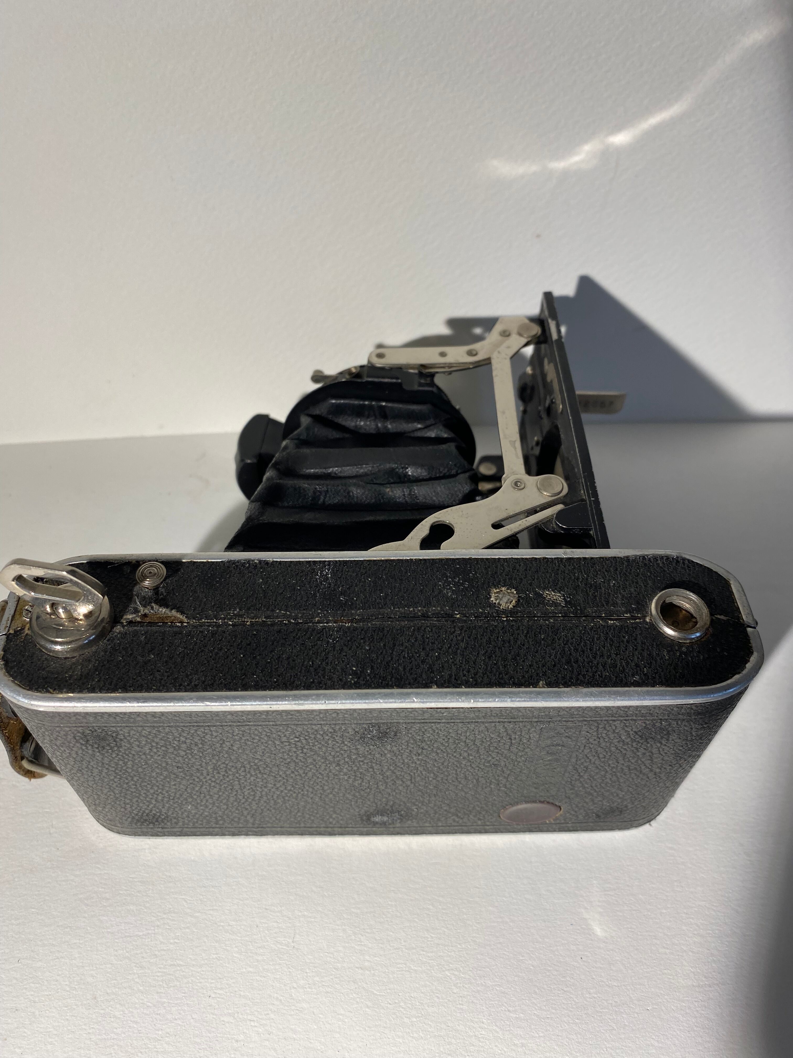 Light XX century brand bellows camera