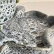 VIDES-Pocket Ceramic VALLAURIS Vintage