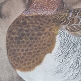 Original Large Size Signed Painting Frame and Hand Painted Duck