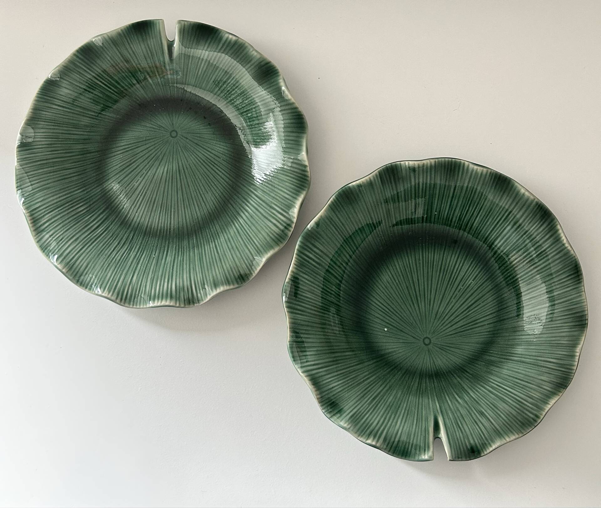 Paire d’assiette lotus