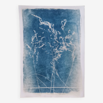 Cyanotype vintage crazy blue grass