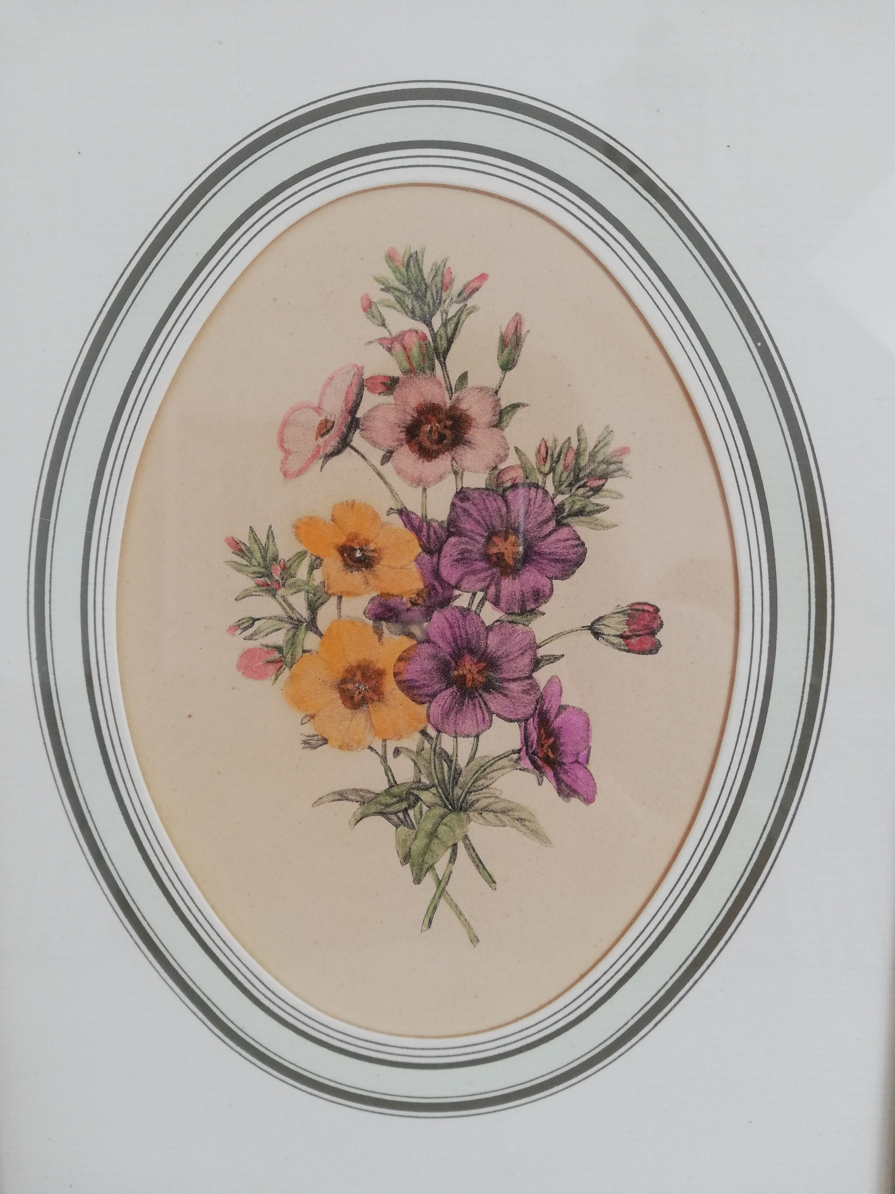 Old watercolor frame 1950