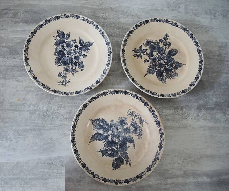 3 old flat plates in iron earth longchamp : blackberries