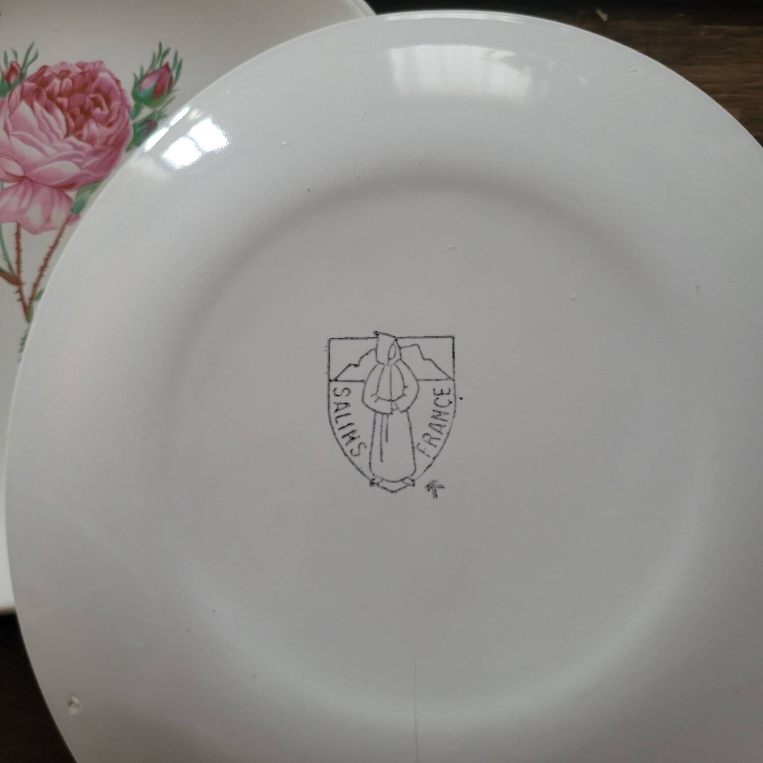8 oval plates Salins – 1970s – Botanical roses