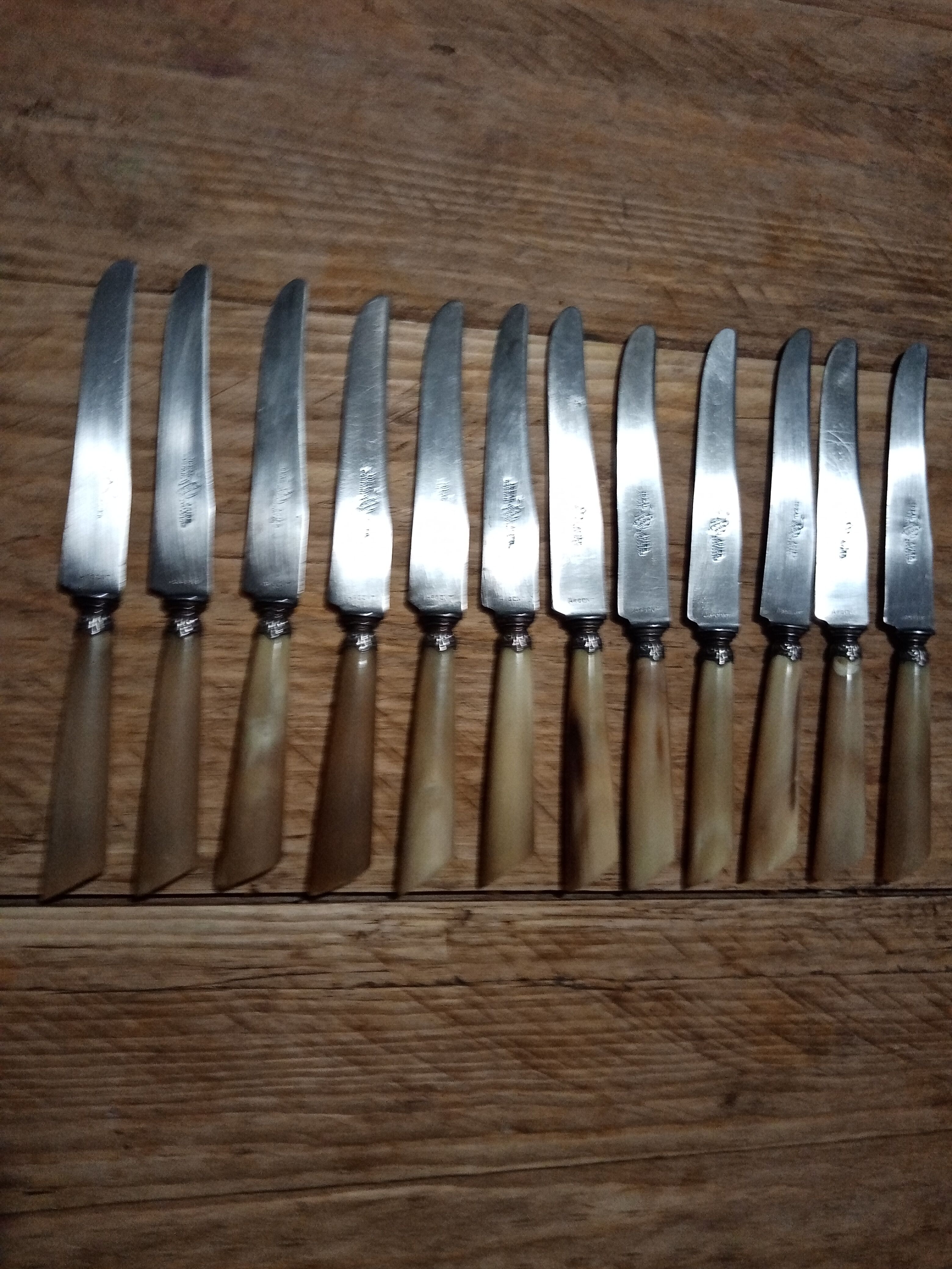 Box 12 old cheese knife 19th blade steel virole silver handle horn