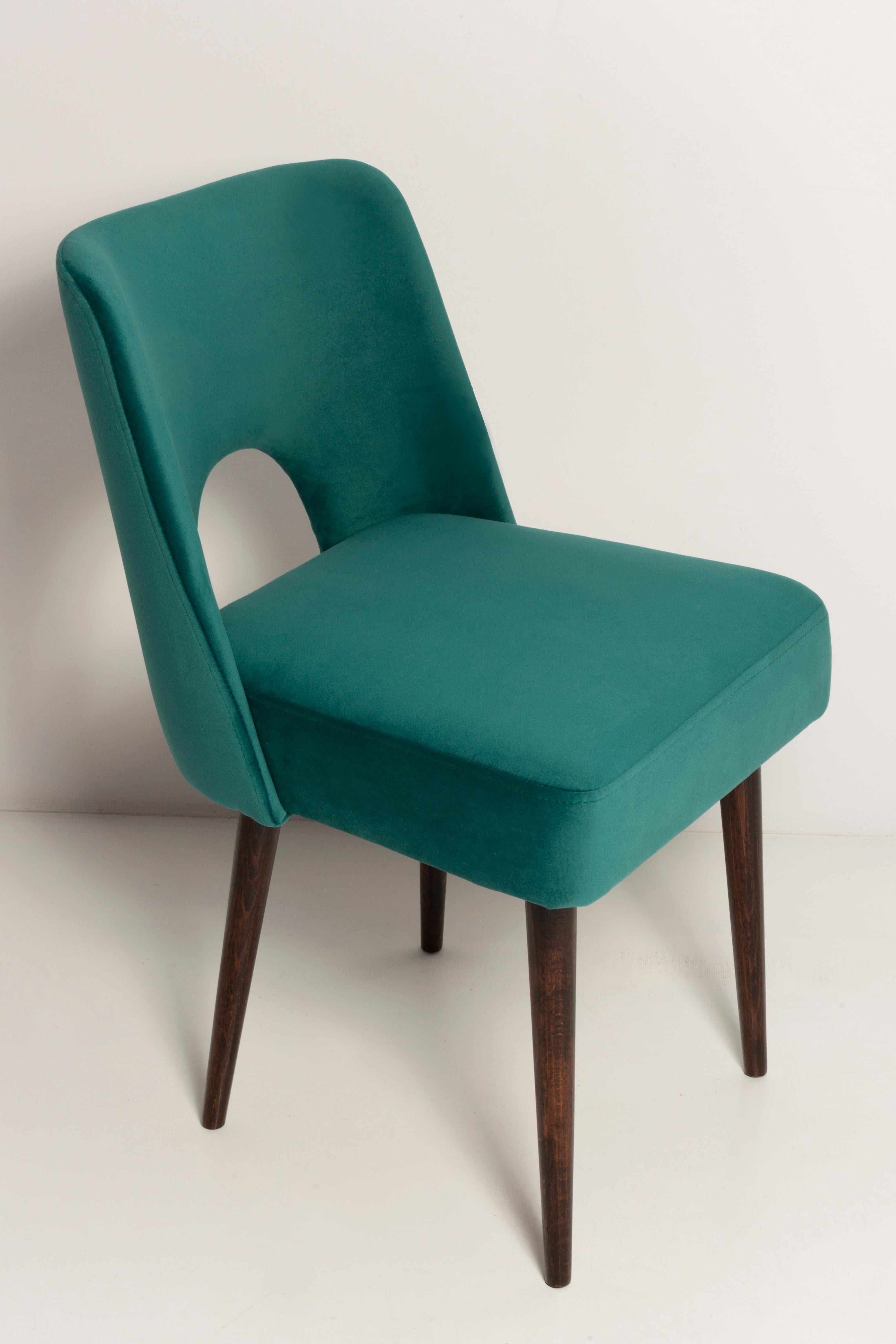 Chaise « shell » en velours crème et bois, Pologne, 1960s