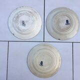 Plates made Gien, Terre de Fer